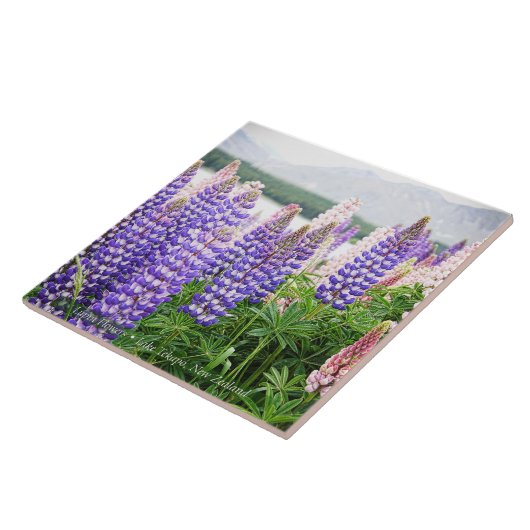 Pretty Lupins @ Lake Tekapo New Zealand Fliese (Seite)