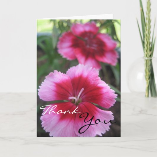 Pretty Pink Dianthus Greeting Card Dankeskarte (Vorderseite)