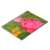 Pretty Pink Iceland Poppy Flower (my photography) Notizblock (Linke Seite)