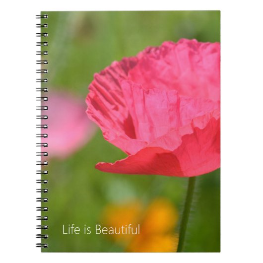 Pretty Pink Iceland Poppy Flower (my photography) Notizblock (Vorderseite)