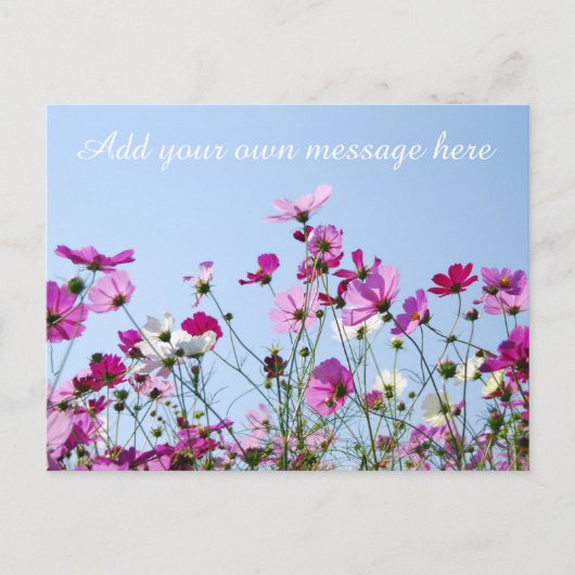 Pretty Pink Meadow Custom Message Postkarte (Vorderseite)