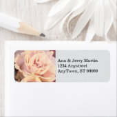 Pretty Pink Rose On Pale Gray  (Insitu)