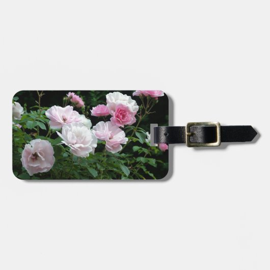 Pretty Pink und White Rose Flower Bushes. Floral, Gepäckanhänger (Vorderseite horizontal)