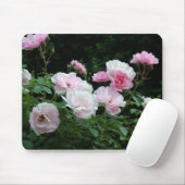 Pretty Pink und White Rose Flower Bushes. Floral, Mousepad (Mit Mouse)
