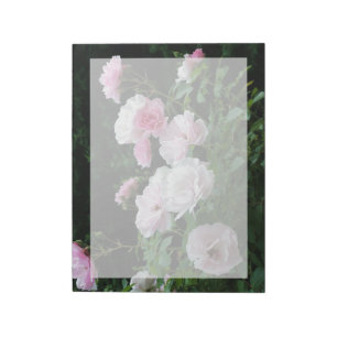 Pretty Pink und White Rose Flower Bushes. Floral, Notizblock