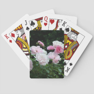 Pretty Pink und White Rose Flower Bushes. Floral, Spielkarten