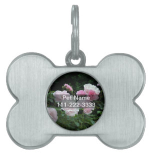 Pretty Pink und White Rose Flower Bushes. Floral, Tiermarke