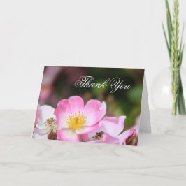 pretty pink wild rose flower thank you cards dankeskarte