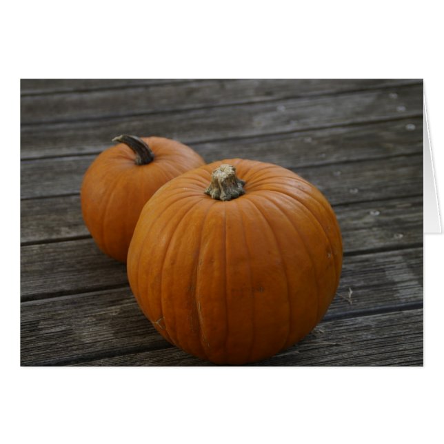 Pretty Plump Pumpkins Greeting Card (Vorderseite (Horizontal))