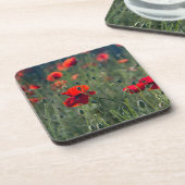 Pretty Poppies in Wild Meadow Photo Getränkeuntersetzer (Linke Seite)