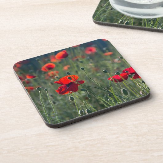 Pretty Poppies in Wild Meadow Photo Getränkeuntersetzer (Linke Seite)