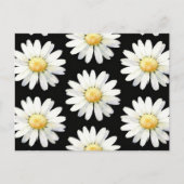 Pretty Purple Dotted Daisy's Postkarte (Vorderseite)