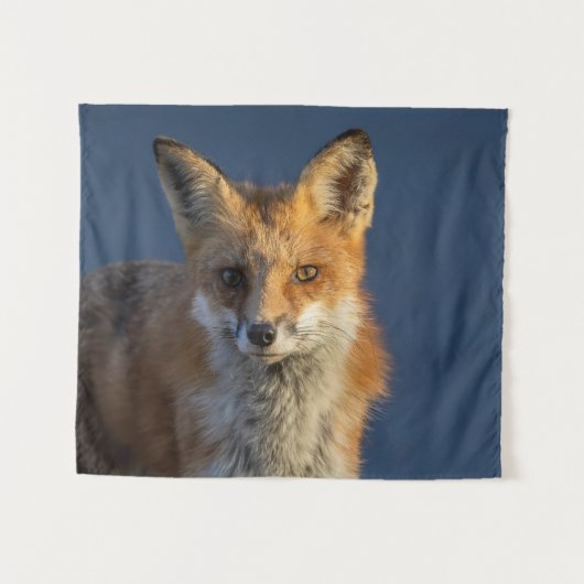 Pretty Red Fox  Wandteppich (Vorderseite (Horizontal))