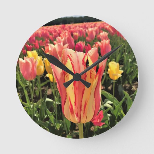 Pretty Spring Tulip, Oregon Runde Wanduhr (Vorderseite)