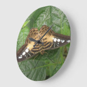Pretty Tropical Clipper Butterfly Wall Clock Große Wanduhr (Winkel)