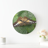 Pretty Tropical Clipper Butterfly Wall Clock Große Wanduhr (Zuhause)