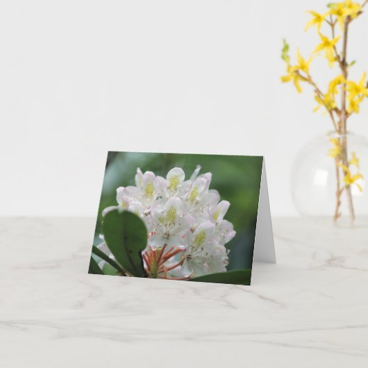 Pretty White Azalea Flower Photography Note Karte (Gelbe Blume)