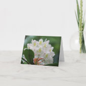 Pretty White Azalea Flower Photography Note Karte (Vorderseite)