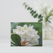 Pretty White Azalea Flower Photography Postkarte (Stehend Vorderseite)
