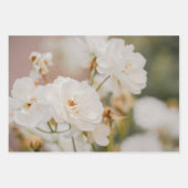 Pretty White Korbin Roses Real Botanical Photo Geschenkpapier Set (Vorderseite)