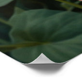 Pretty white orange cat in floral garden poster (Ecke)