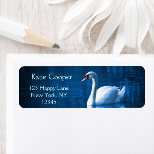 Pretty white swan floating on blue lake (Insitu)