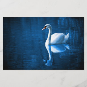 Pretty white swan floating on blue lake briefpapier
