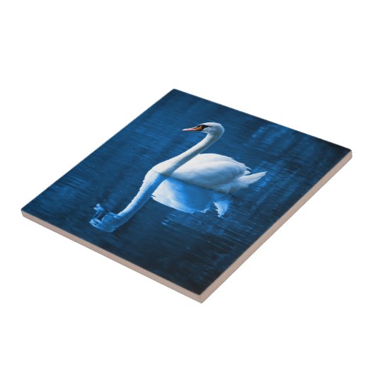 Pretty white swan floating on blue lake fliese (Seite)