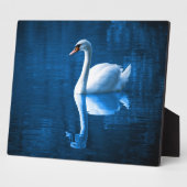 Pretty white swan floating on blue lake fotoplatte (Seite)