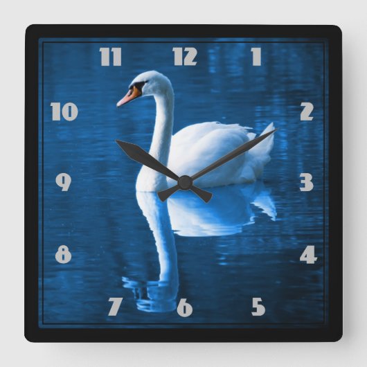 Pretty white swan floating on blue lake quadratische wanduhr (Vorderseite)