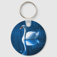Pretty white swan floating on blue lake