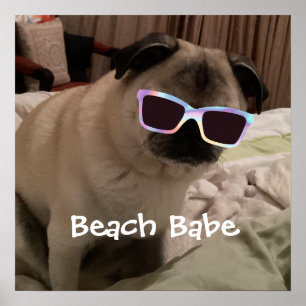 PrettyCute Beach Babe-Mops Pet-Foto einfügen Poster