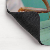 Preying Mantis Mousepad (Ecke)