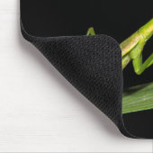 Preying mantis, Odzala, Kokoua National Park Mousepad (Ecke)