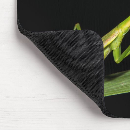 Preying mantis, Odzala, Kokoua National Park Mousepad (Ecke)