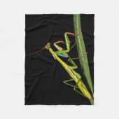 Preying Mantis, Odzala, Kokoua Nationalpark Fleecedecke (Vorderseite)