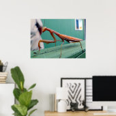 Preying Mantis Poster (Heimbüro)