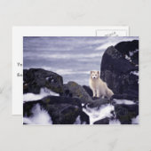 Pribilof Island Oil Spill, M/V Citrus 1996 Arktis Postkarte (Vorne/Hinten)