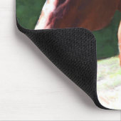 Priceless Mischief (Portia) Mousepad (Ecke)