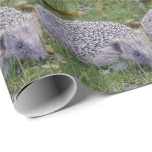 Prickles - Europäisches Igel-Umschlagpapier Geschenkpapier