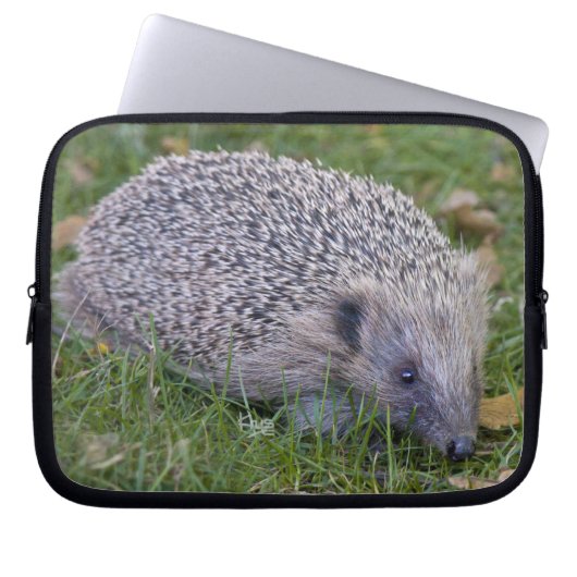 Prickles Laptop Sleeve (Vorderseite)