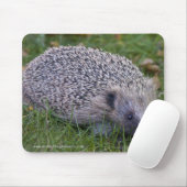Prickles Mousemat Mousepad (Mit Mouse)