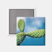 Prickley Cactus Magnet (Vorderseite/Rückseite)