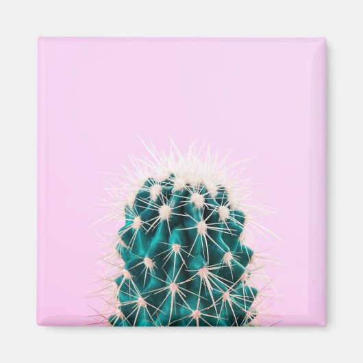Prickley Cactus pink Magnet (Vorne)