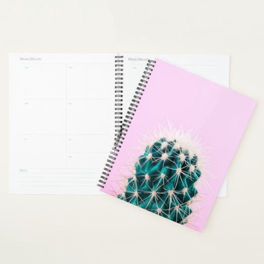 Prickley Cactus pink Planer (Anzeige)