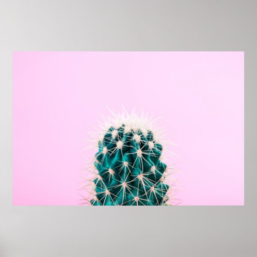 Prickley Cactus pink Poster (Vorne)
