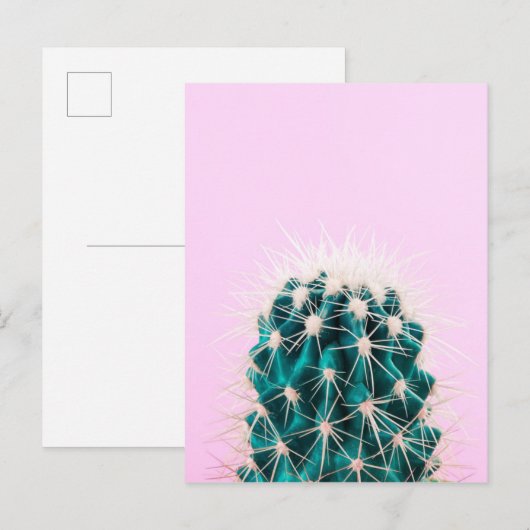 Prickley Cactus pink Postkarte (Vorne/Hinten)