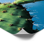 Prickley Cactus Poster (Ecke)