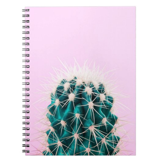 Prickley Kaktus auf Rosa Notizblock (Vorderseite)