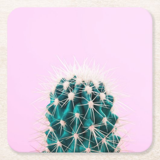 Prickley Kaktus auf Rosa Rechteckiger Pappuntersetzer (Vorderseite)